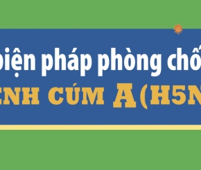Lưu ý 07 biện pháp phòng chống bệnh cúm A (H5N1)