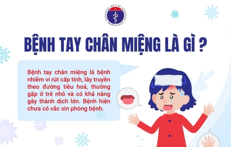 BỘ Y TẾ ĐỀ NGHỊ TĂNG CƯỜNG PHÒNG, CHỐNG BỆNH TAY CHÂN MIỆNG
